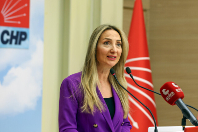 Aylin Nazlıaka: "Ailelerdeki kadınları, çocukları koruyamıyorsan git istifa et bence!"