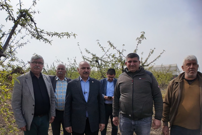 Talat Dinçer’den Çukurova’daki Don Felaketi İçin Meclis Araştırma Önergesi