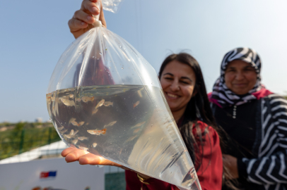 Kadın girişimciler haşere mücadelesi için lepistes balığı yetiştirecek